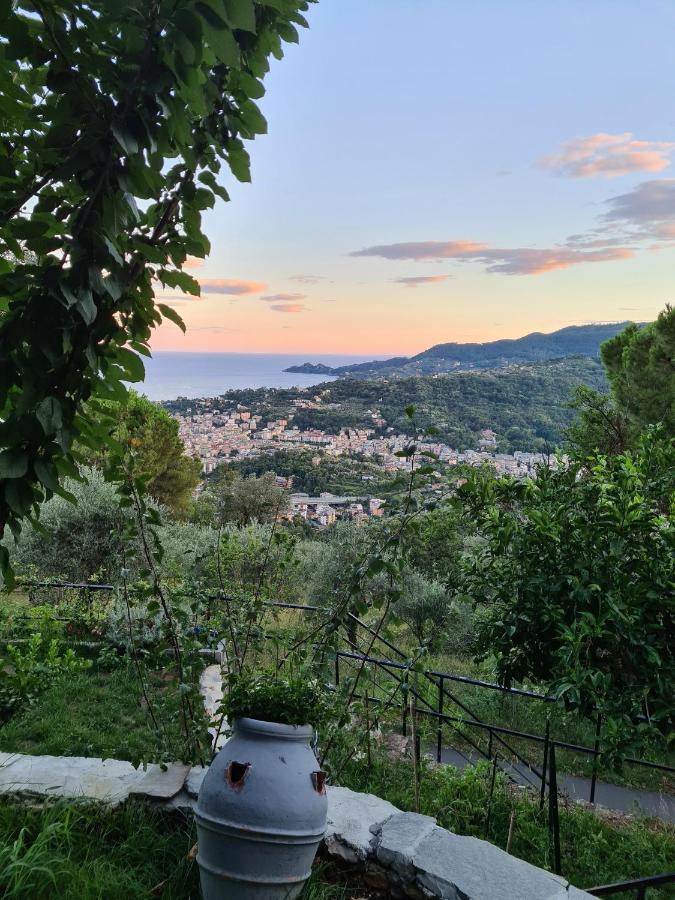 Vista Mare Portofino By Portofinovacanze Gravero Extérieur photo